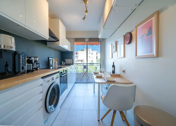Superbe 2 Pieces Clim Et Parking 公寓 尼斯